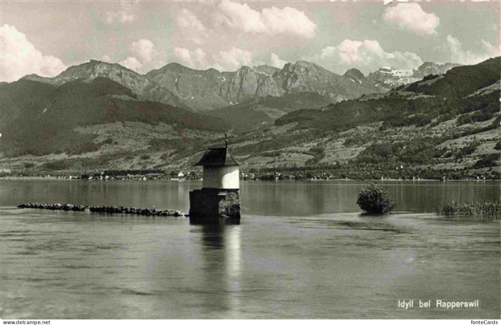 Rapperswil -Jona Rapperswyl Zuerichsee SG Panorama