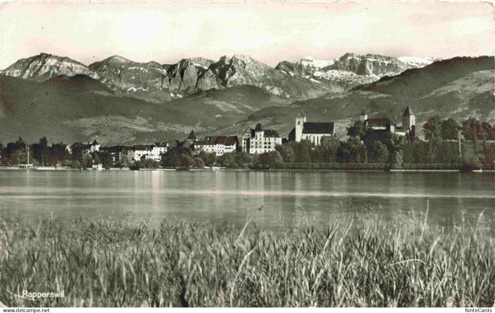 Rapperswil -Jona Rapperswyl Zuerichsee SG Seepanorama