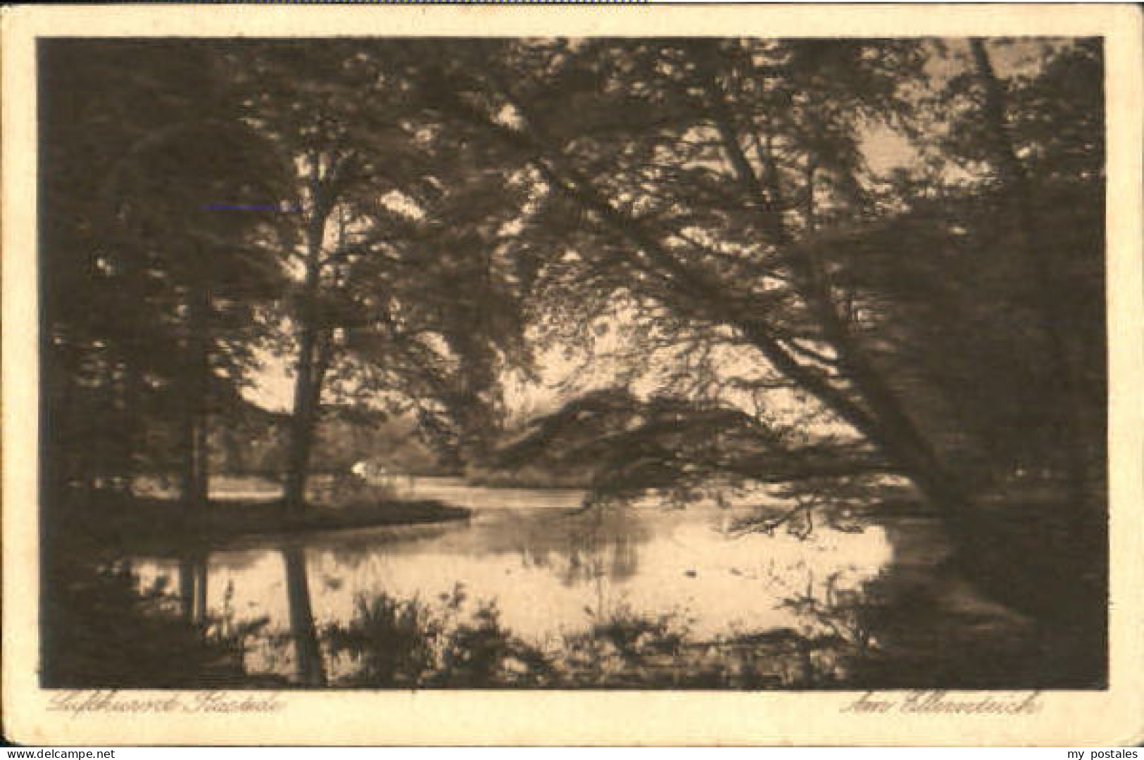 Rastede Teich x 1928