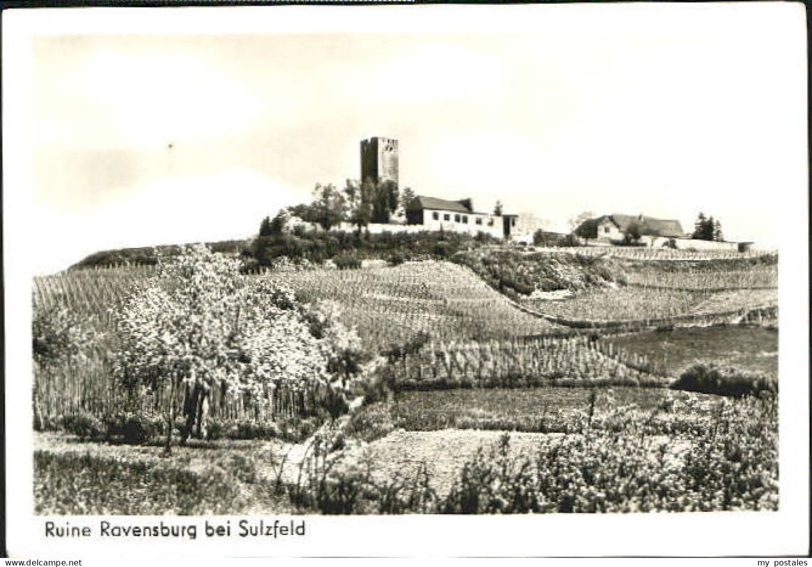 Ravensburg Wuerttemberg Ravensburg bei Sulzfeld Ruine