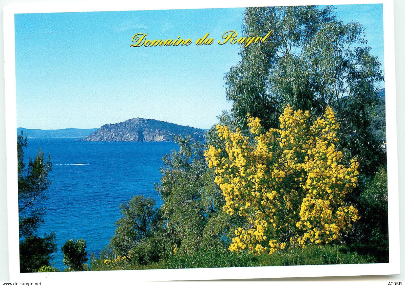 RAYOL CANADEL SUR MER le domaine de Rayol RR 1253