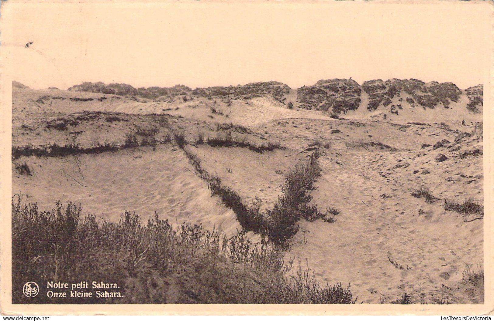 RBELGIQUE - NIEWPORT - Notre petit Sahara - Carte Postale Ancienne