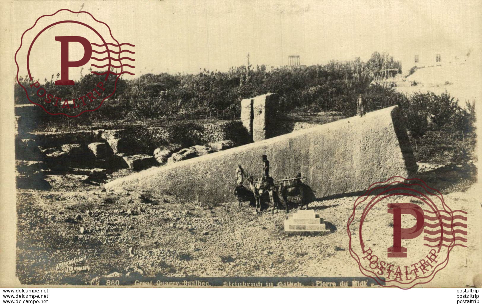 REAL PHOTO RPPC GREAT QUARRY BAALBEC  ISRAEL