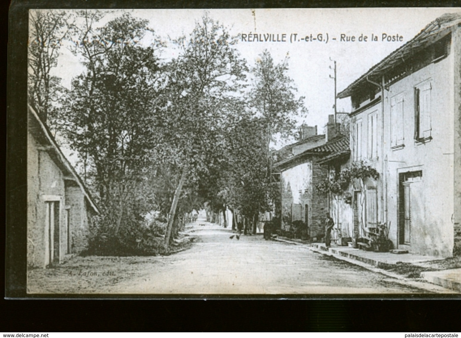 REALVILLE                   JLM