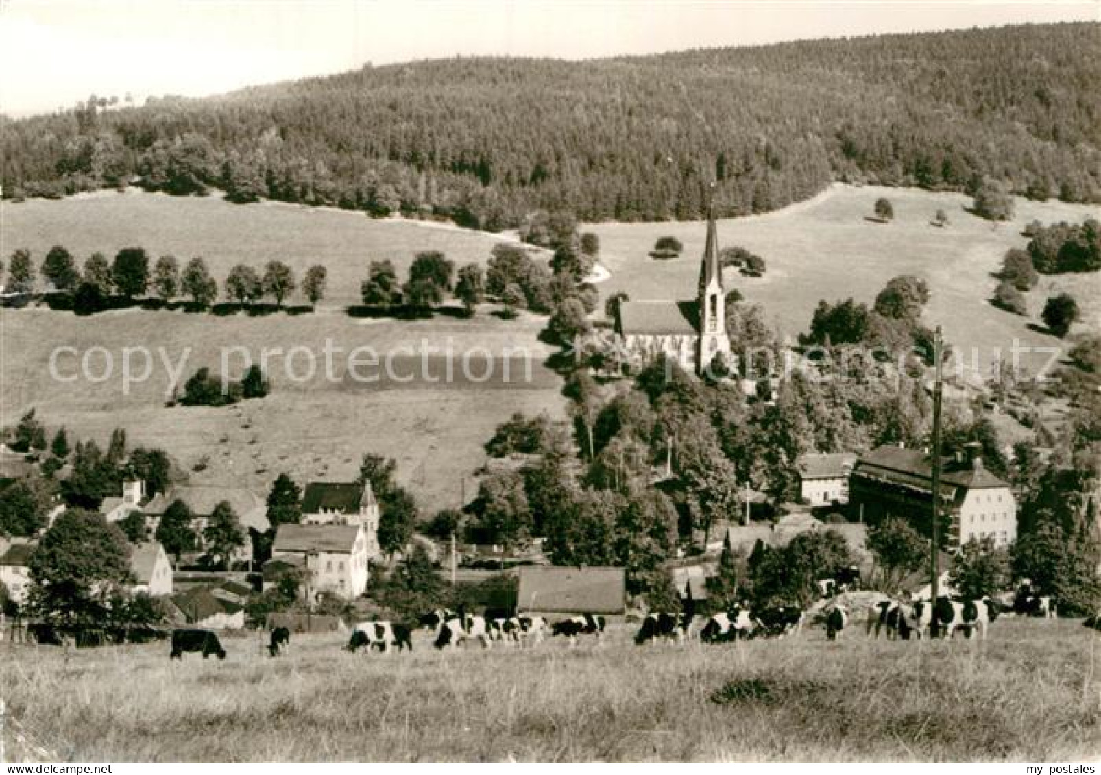 Rechenberg-Bienenmuehle Osterzgebirge