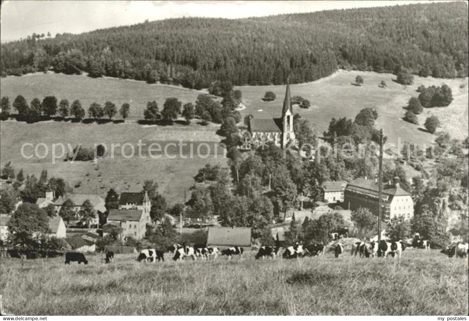 Rechenberg-Bienenmuehle Osterzgebirge Ortsansicht