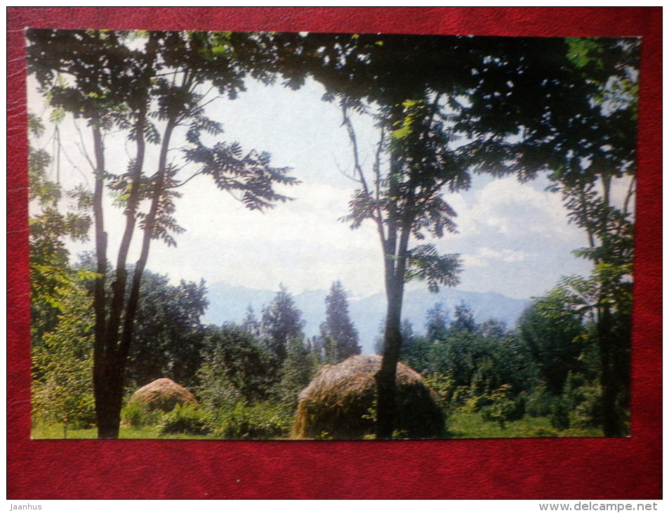 recreation Area - Almaty - Alma-Ata - 1974 - Kazakhstan USSR - unused