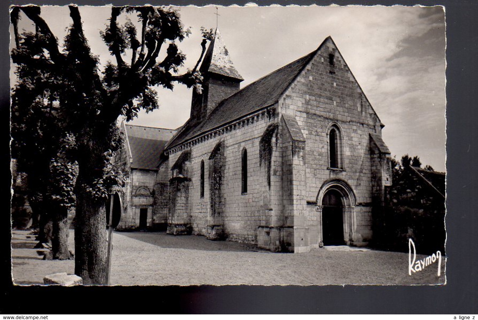 REF 497 : CPSM 41 Noyers sur cher l'eglise