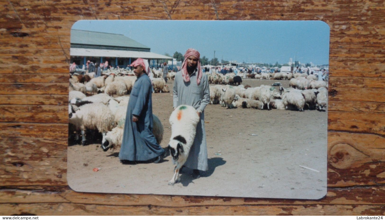 REF 631 : Photo originale 12.5 x 8.5 cm  Koweit marchand de mouton