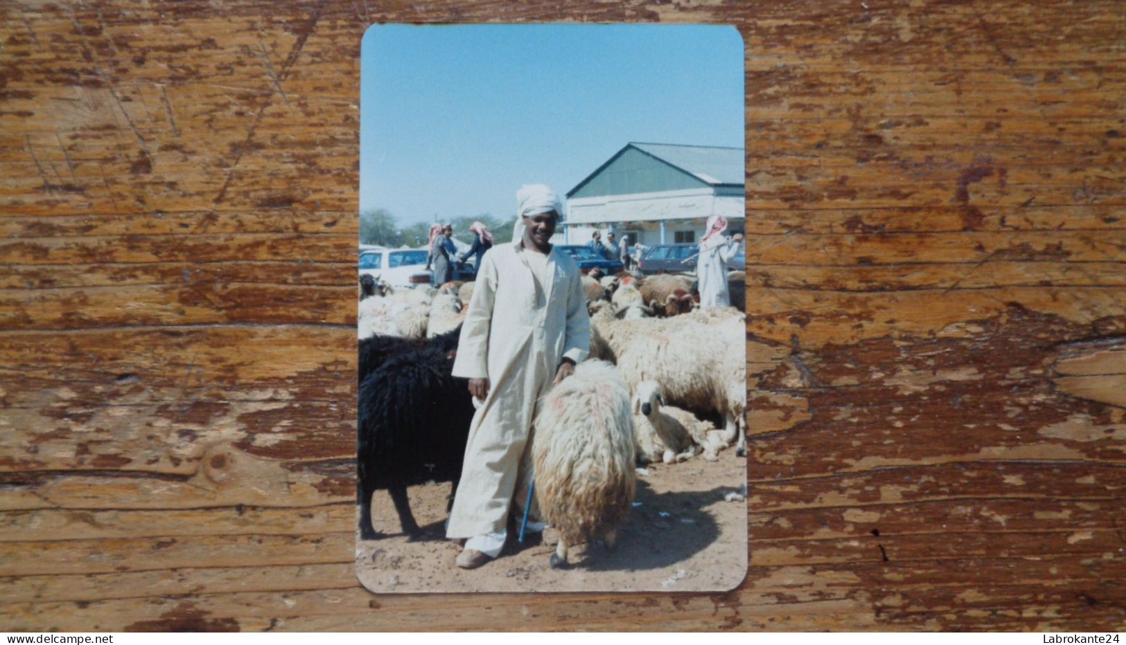 REF 631 : Photo originale 12.5 x 8.5 cm  Koweit marchand de mouton