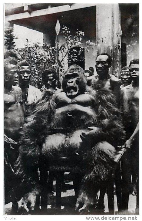 réf : A-15-3627 :  GABON CHASSE  GORILLE CARTE PHOTO