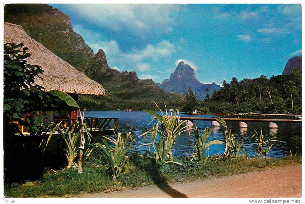 : réf : L-12-1685  : Mooréa