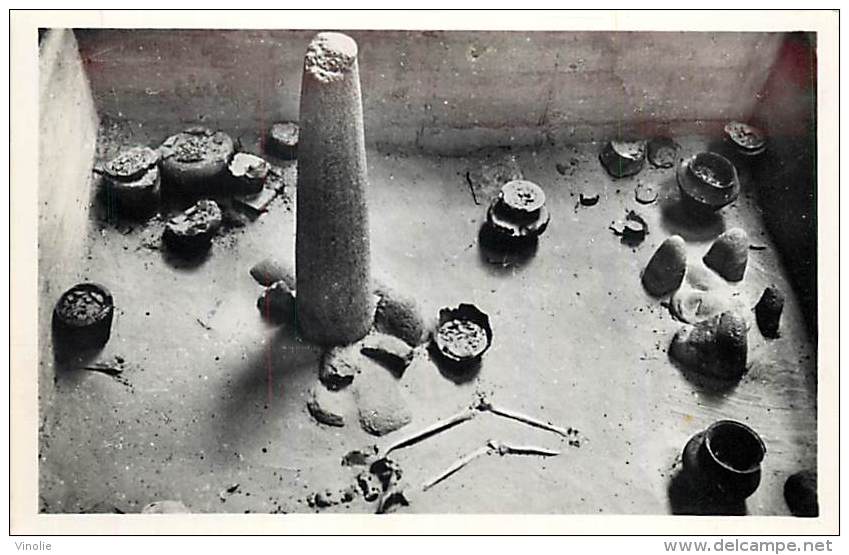 réf : M-14-2426 : archéologie musée de Penmarc´h nécropole de Roz  en Plomeur