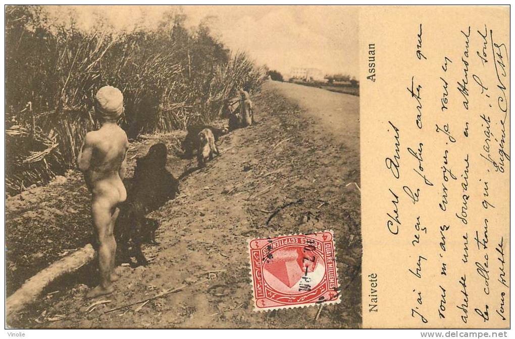 : réf : S-12- 031   : Assuan Naiveté