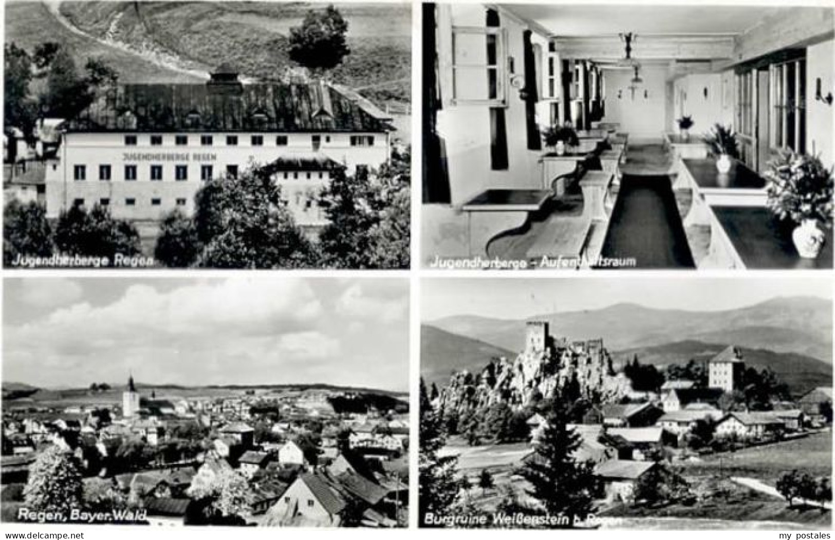 Regen Jugendherberge Regen Burgruine Weissenstein