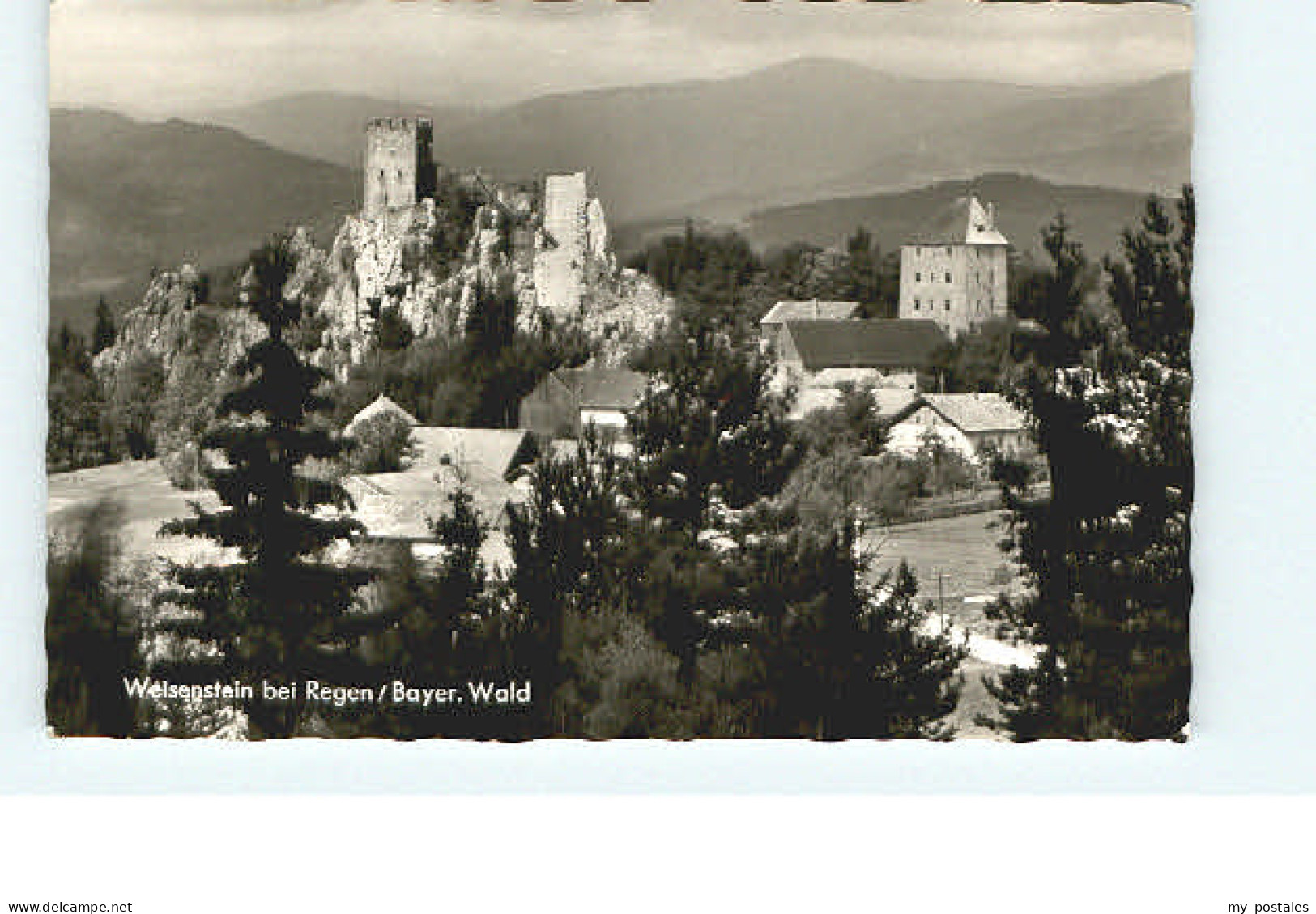 Regen Wiesenstein