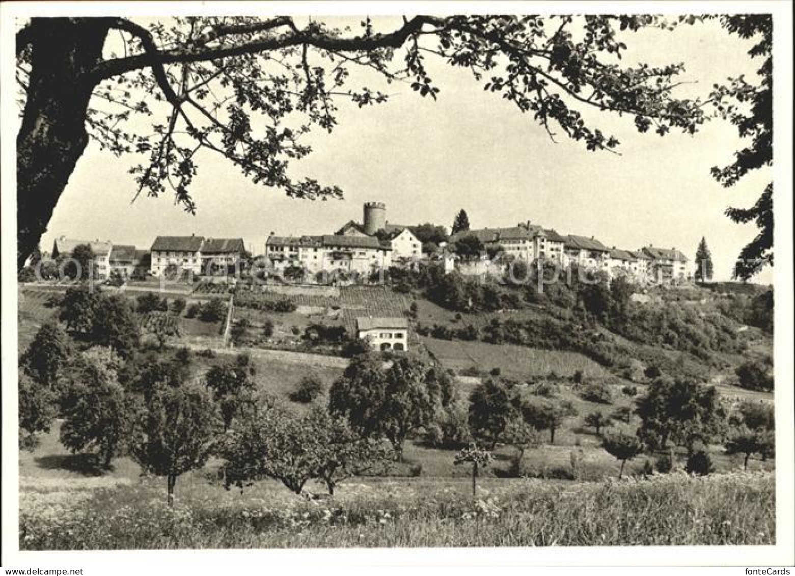 Regensberg Dielsdorf