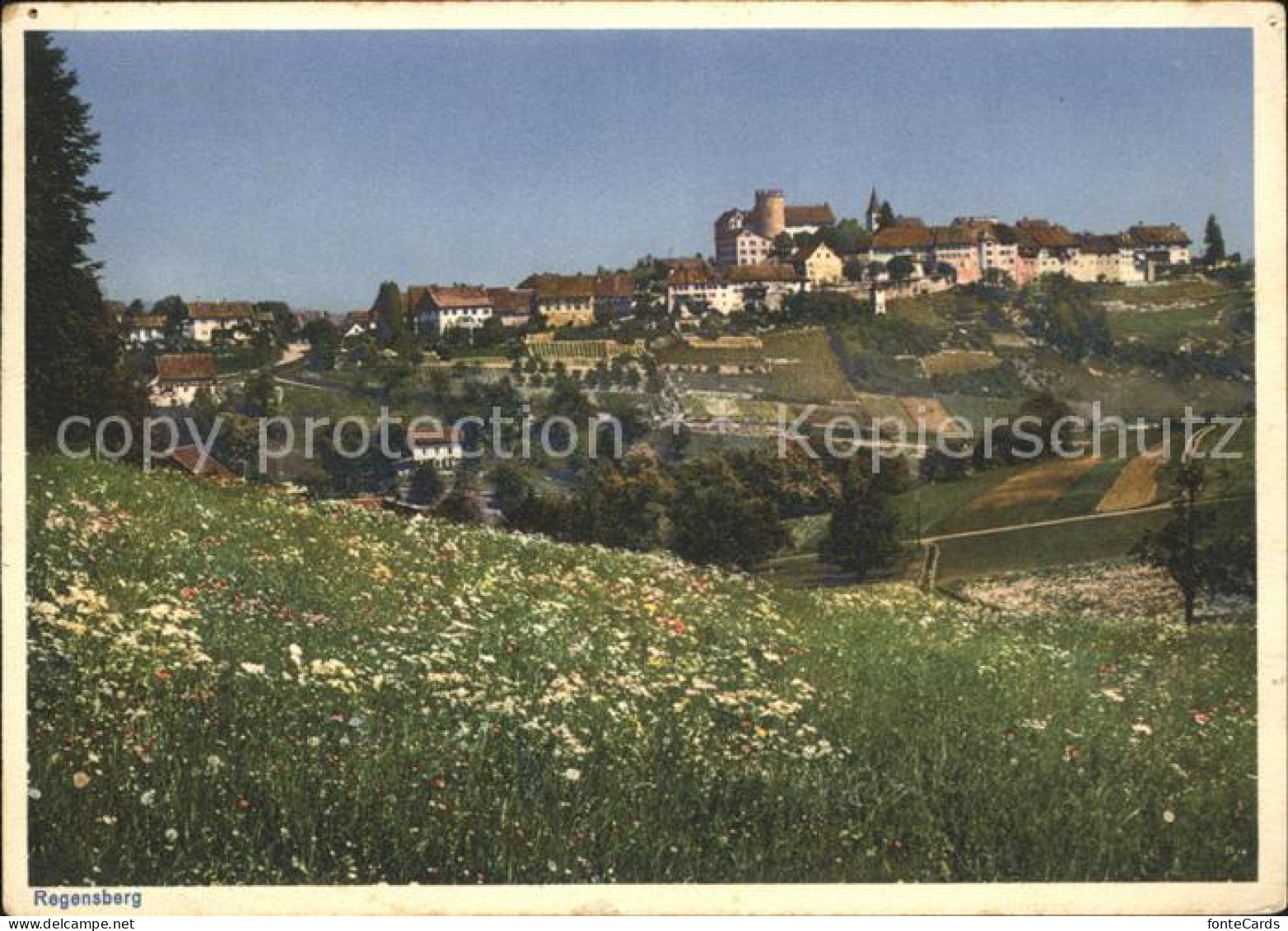 Regensberg Dielsdorf