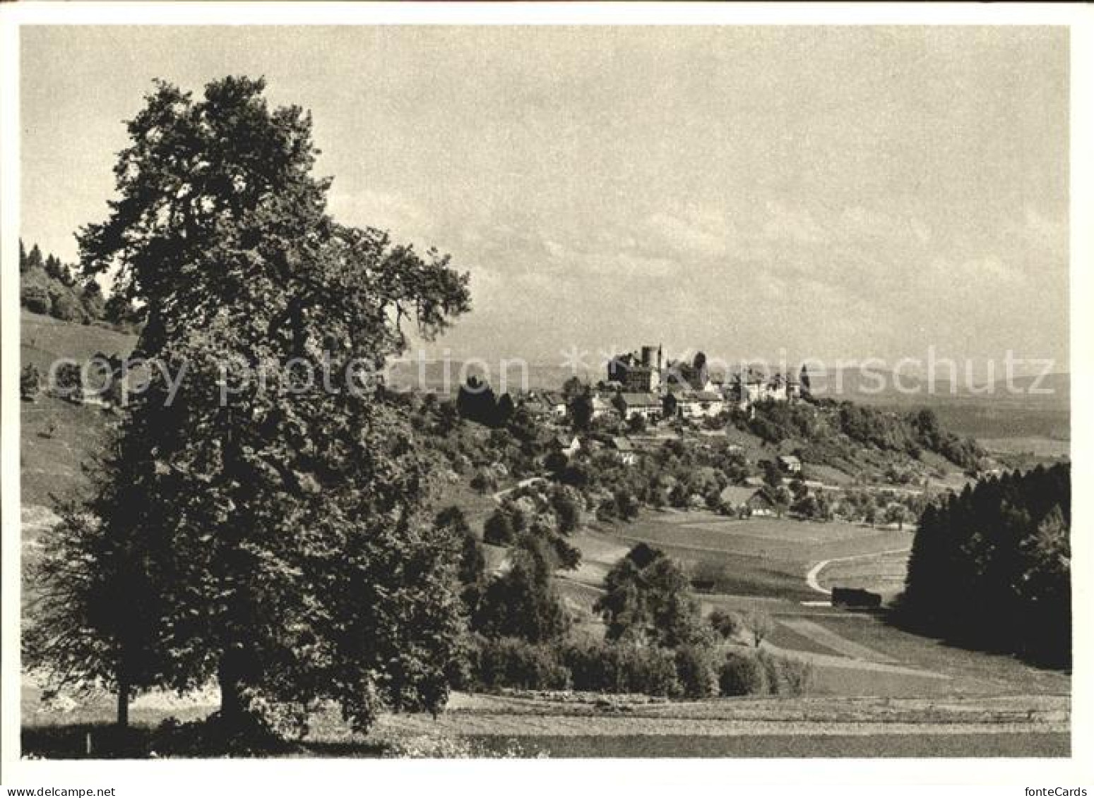 Regensberg Dielsdorf