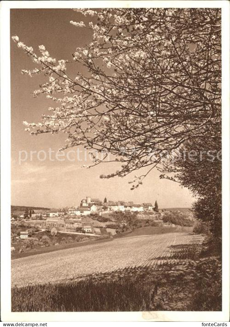 Regensberg Dielsdorf Blaukreuzjugendwerk