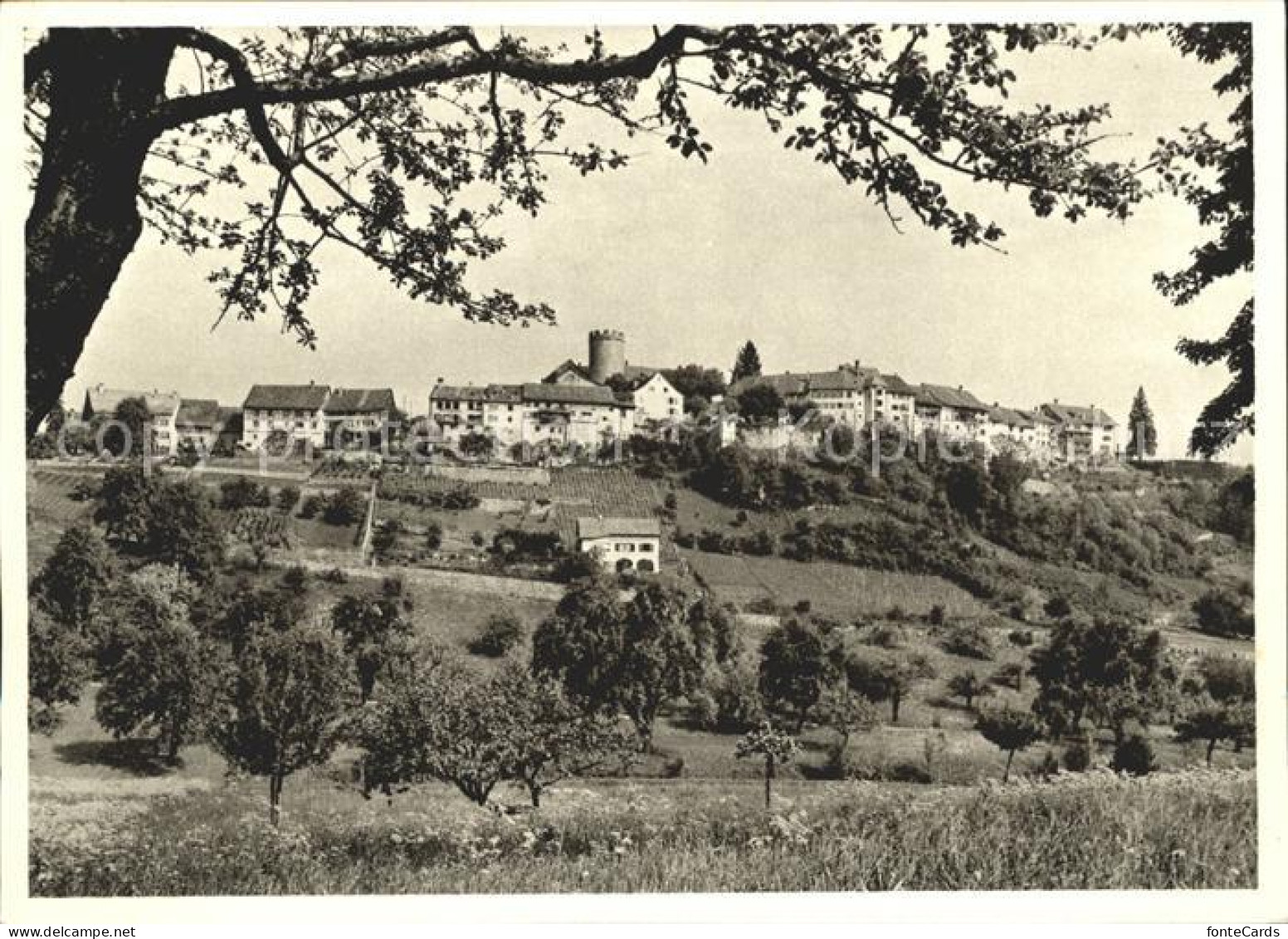 Regensberg Dielsdorf Gesamtansicht