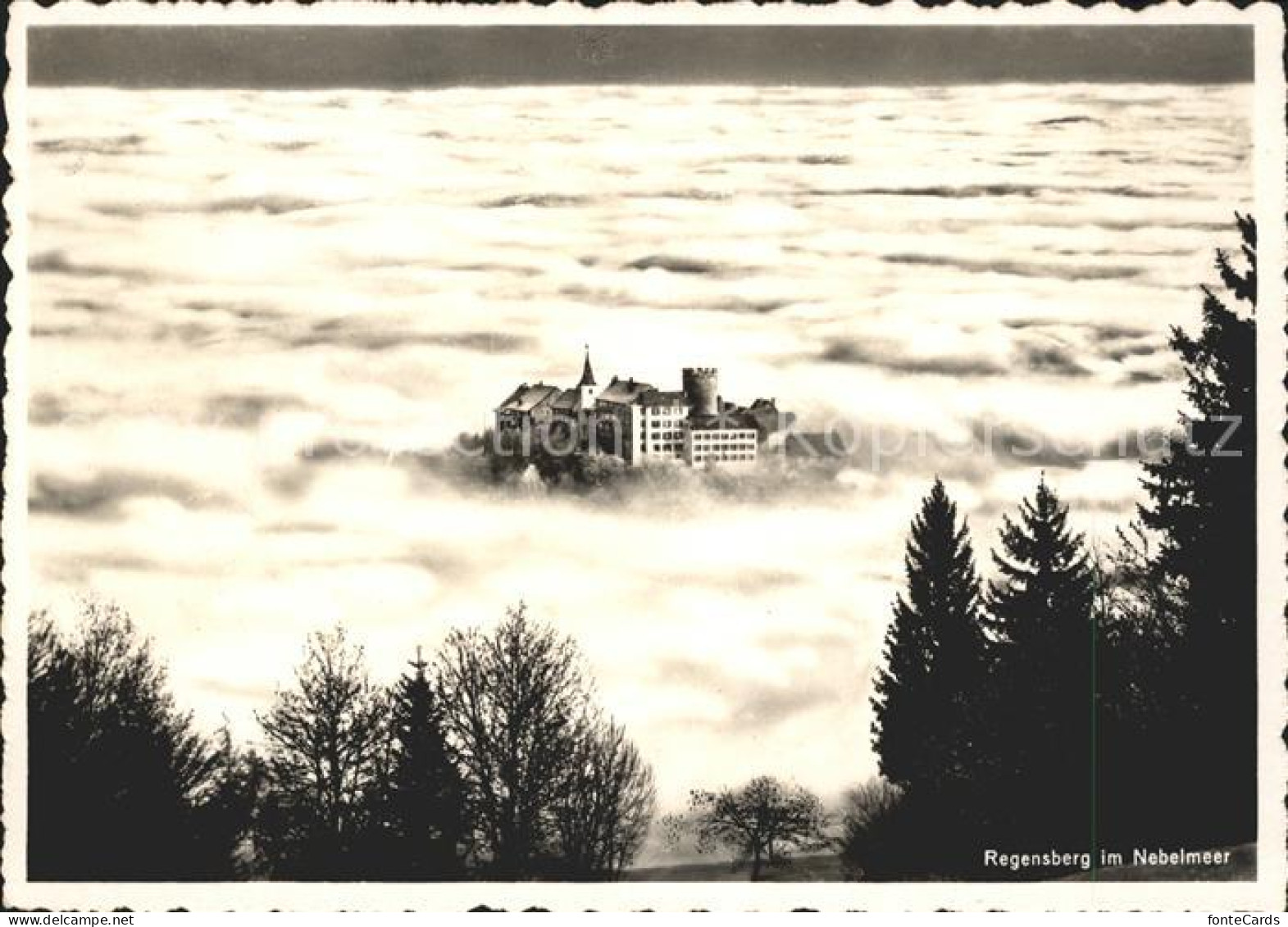 Regensberg Dielsdorf im Nebelmeer