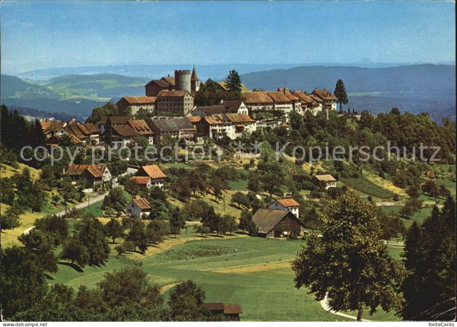 Regensberg Dielsdorf Panorama