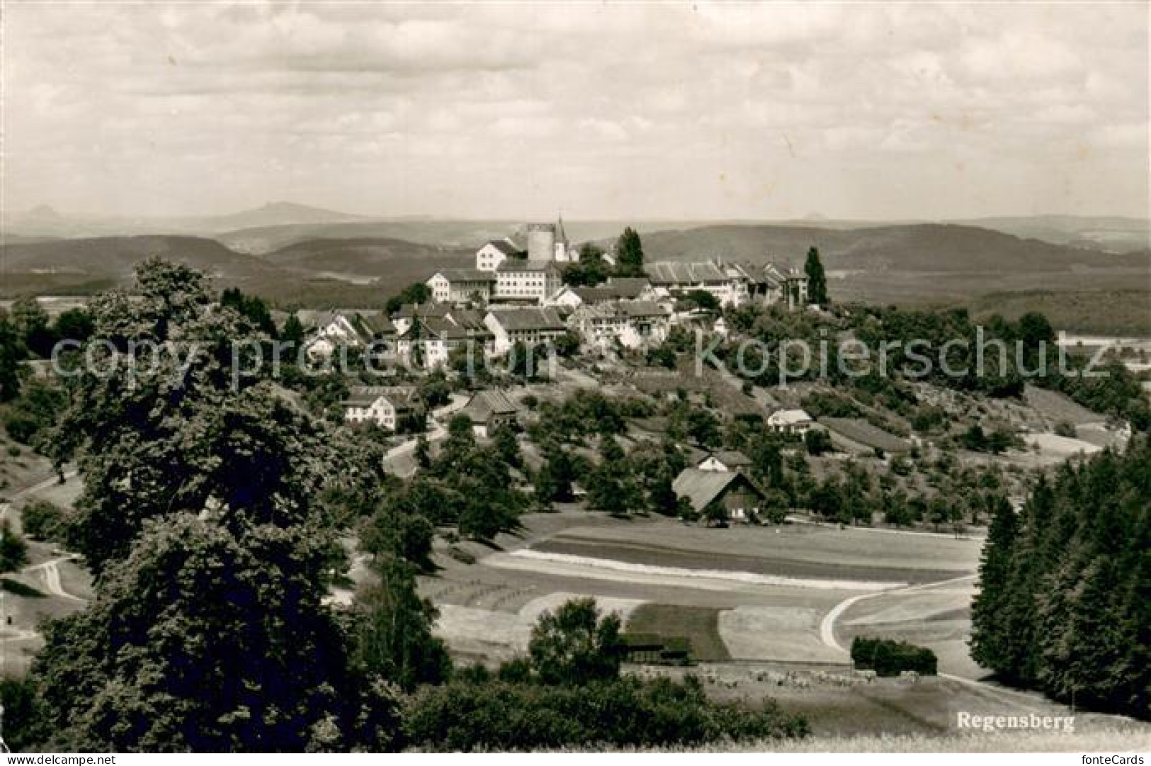 Regensberg Dielsdorf Panorama