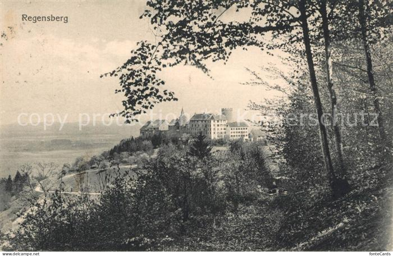 Regensberg Dielsdorf Schloss