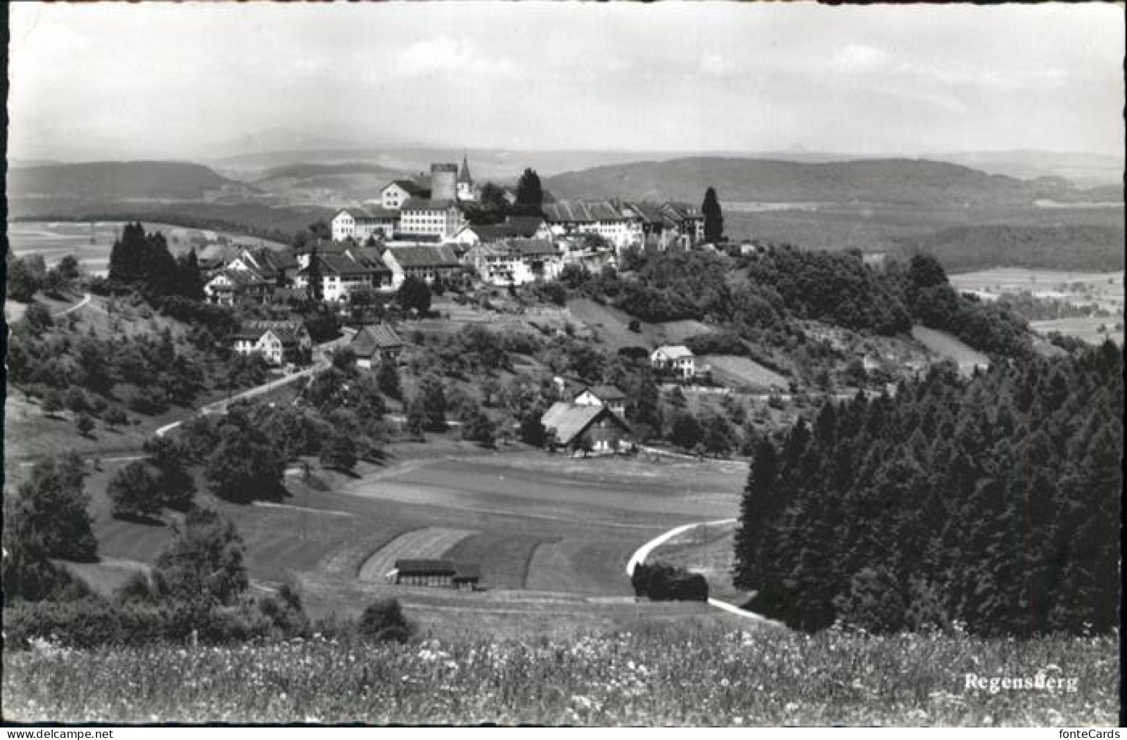 Regensberg Dielsdorf ZH