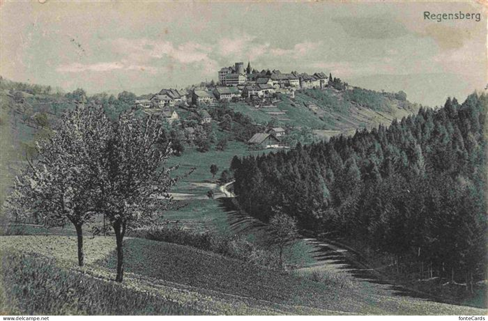 Regensberg Dielsdorf ZH Panorama