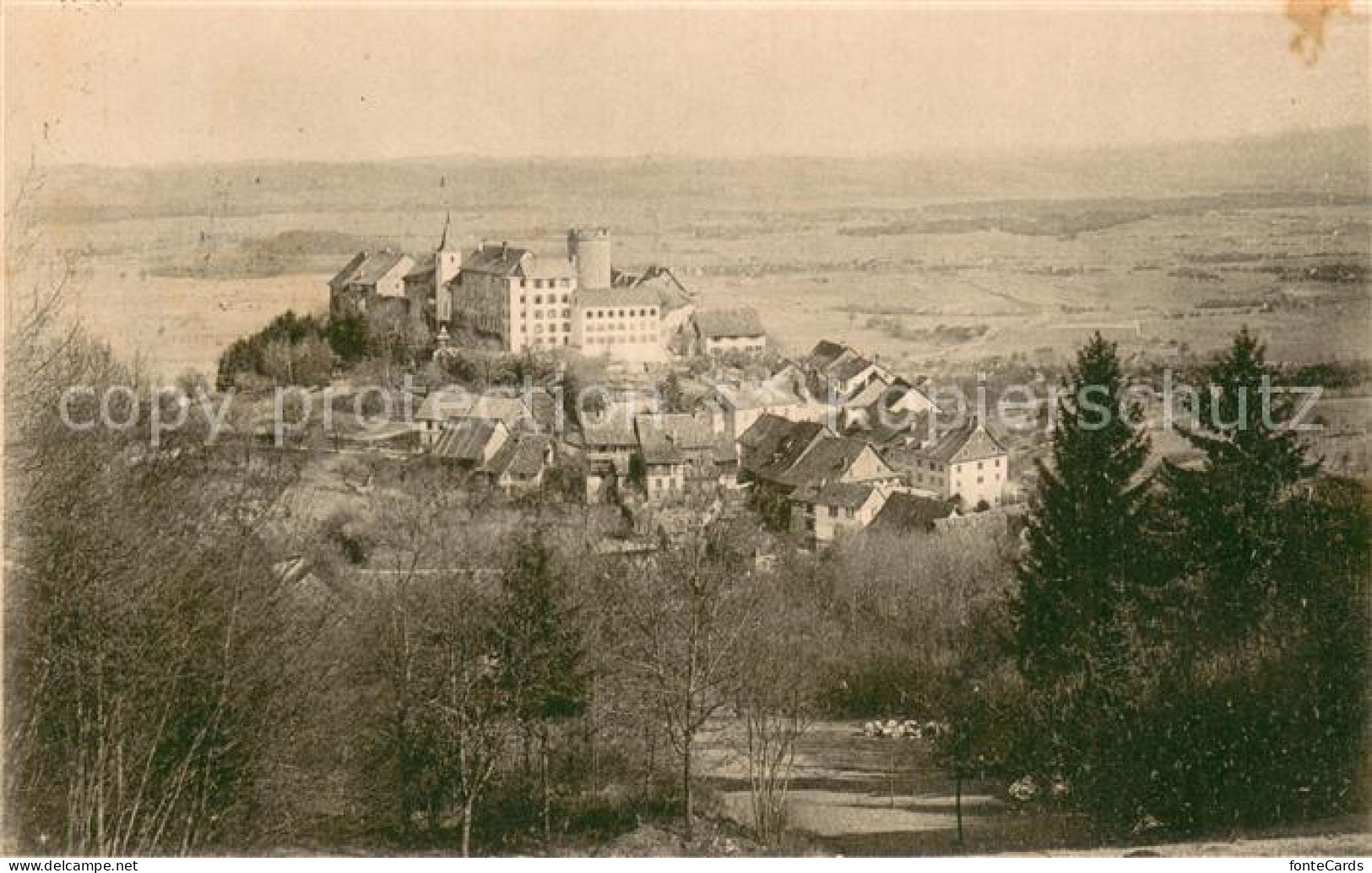 Regensberg Dielsdorf ZH Panorama