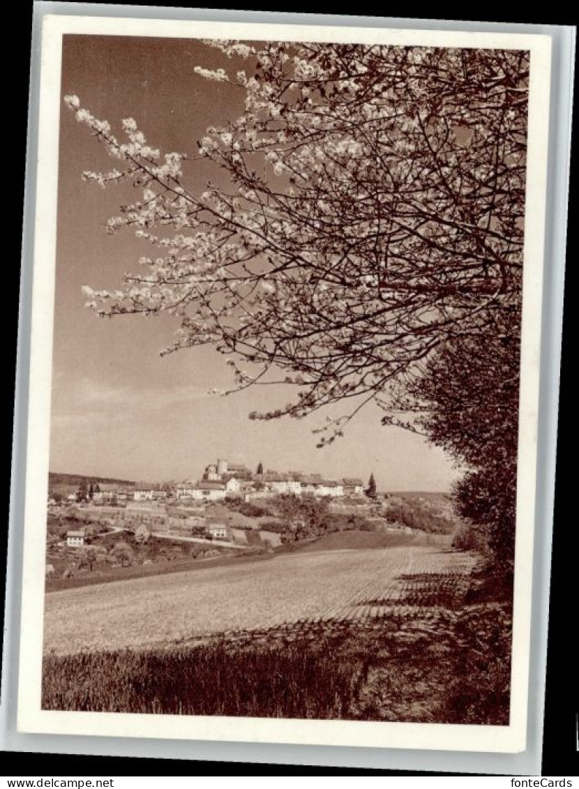 Regensberg Dielsdorf ZH Regensberg