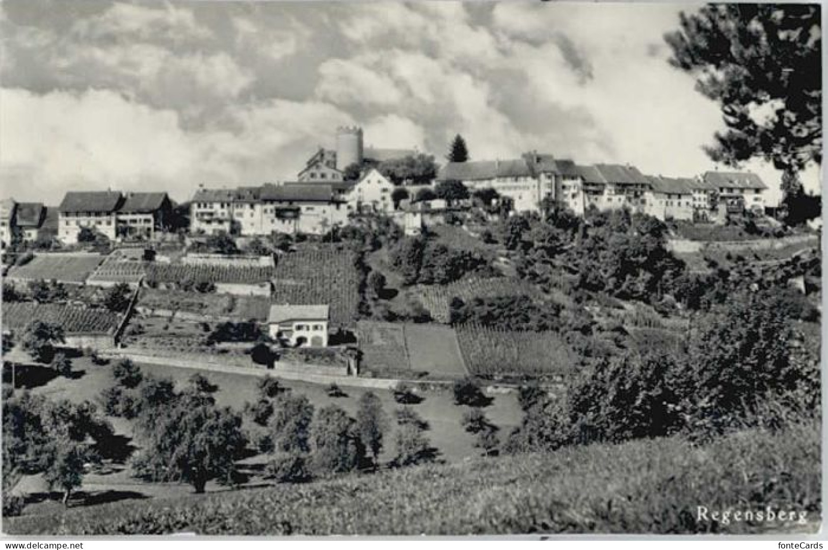 Regensberg Dielsdorf ZH Regensberg