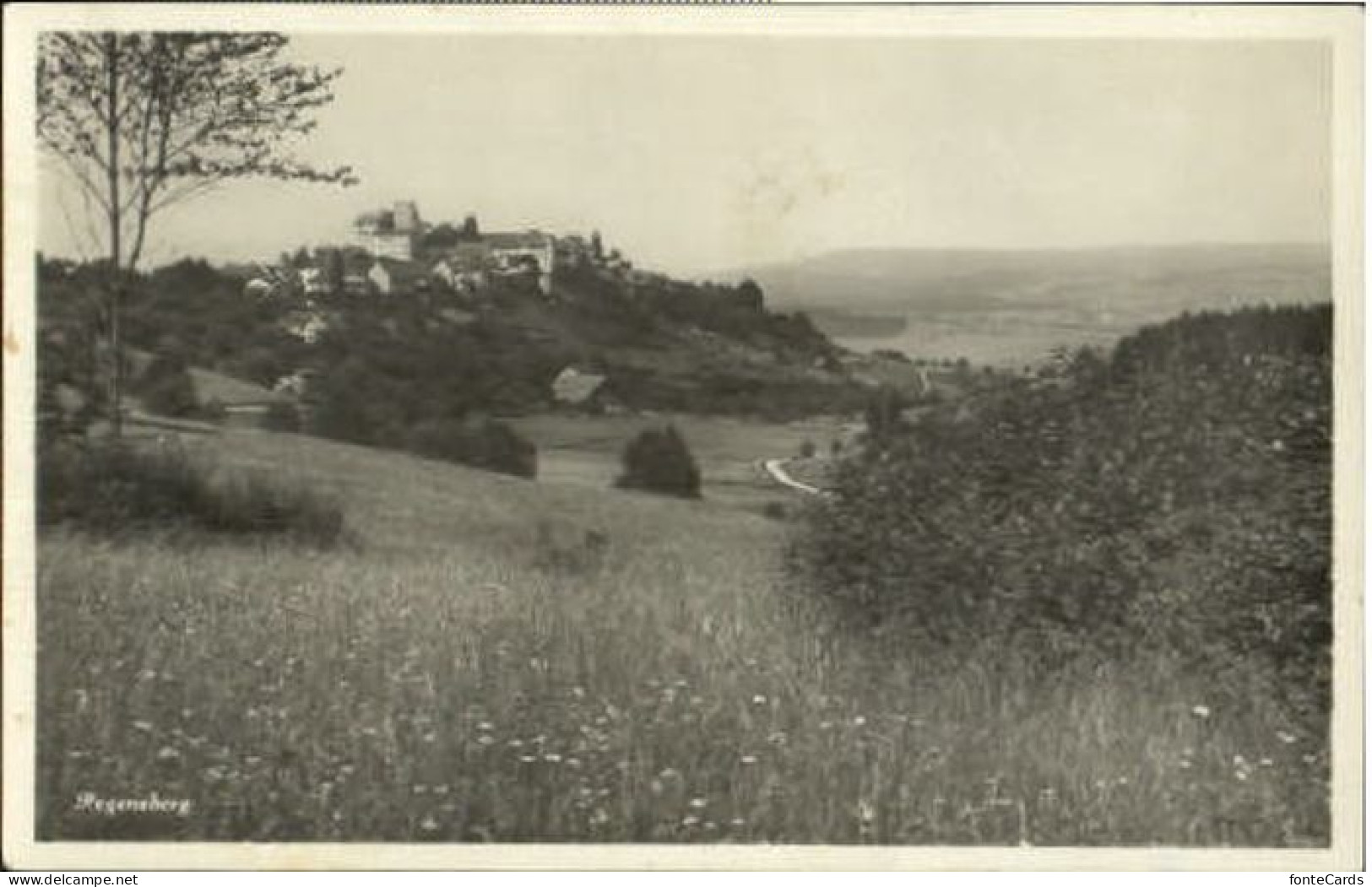 Regensberg Dielsdorf ZH Regensberg  x 1916