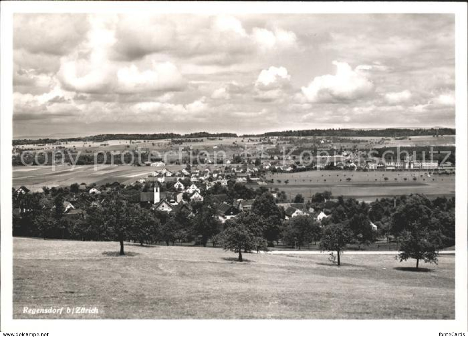 Regensdorf Ortsansicht
