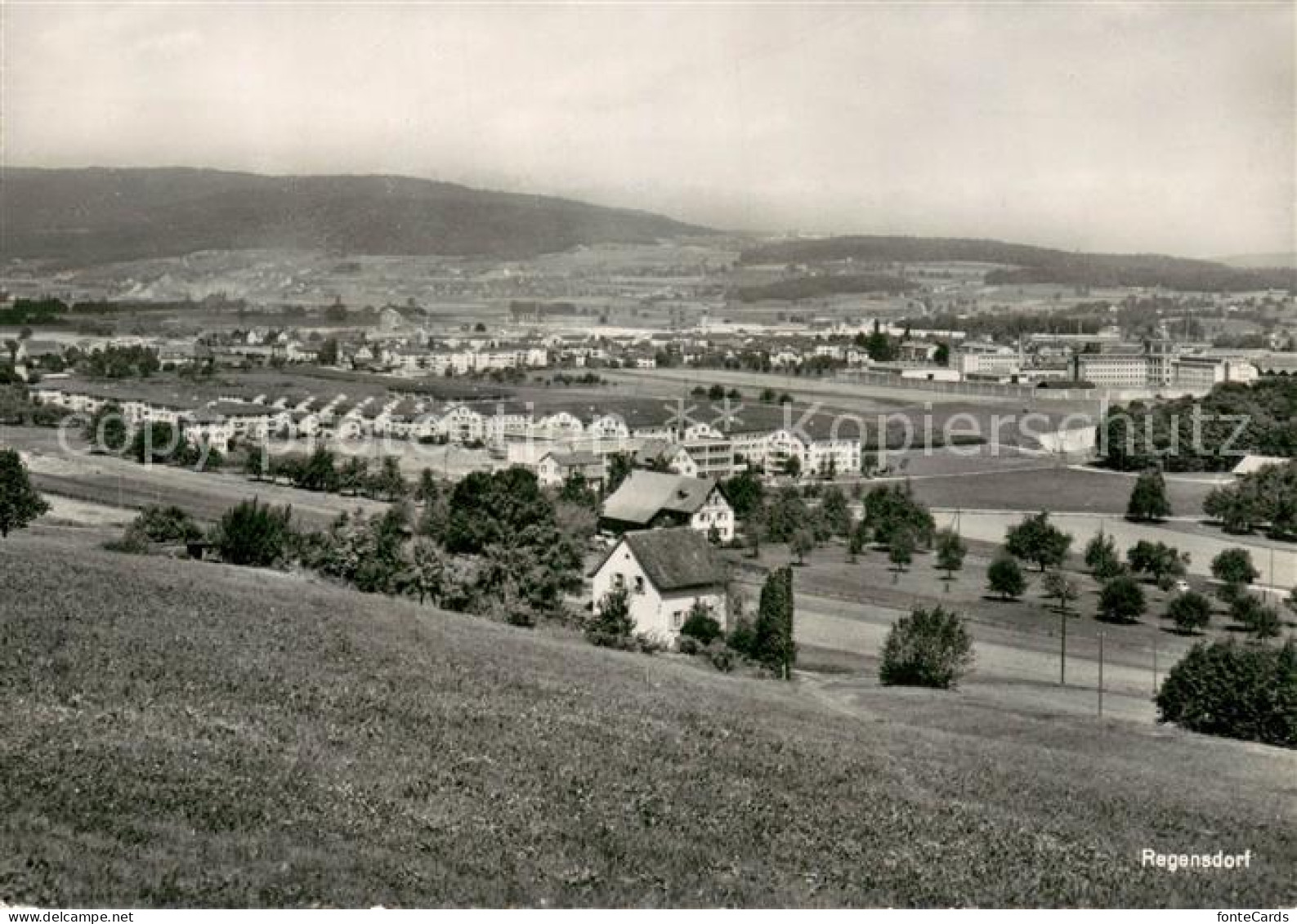 Regensdorf Panorama