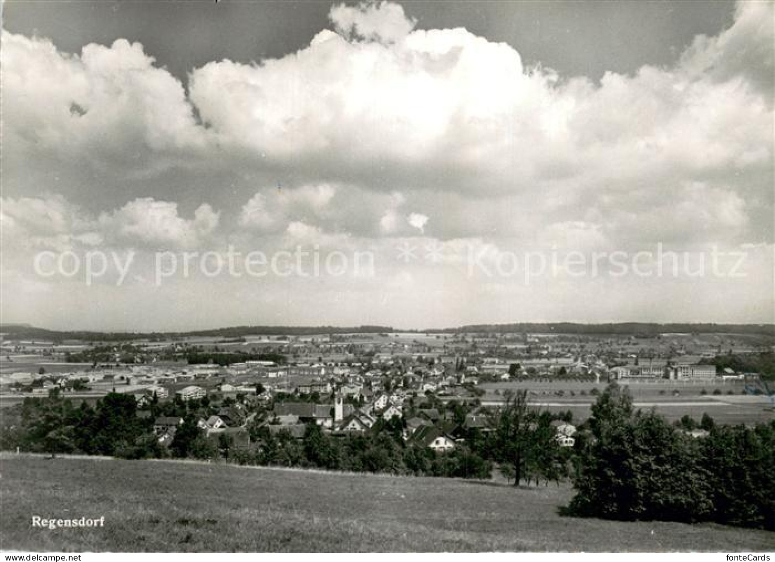 Regensdorf Panorama