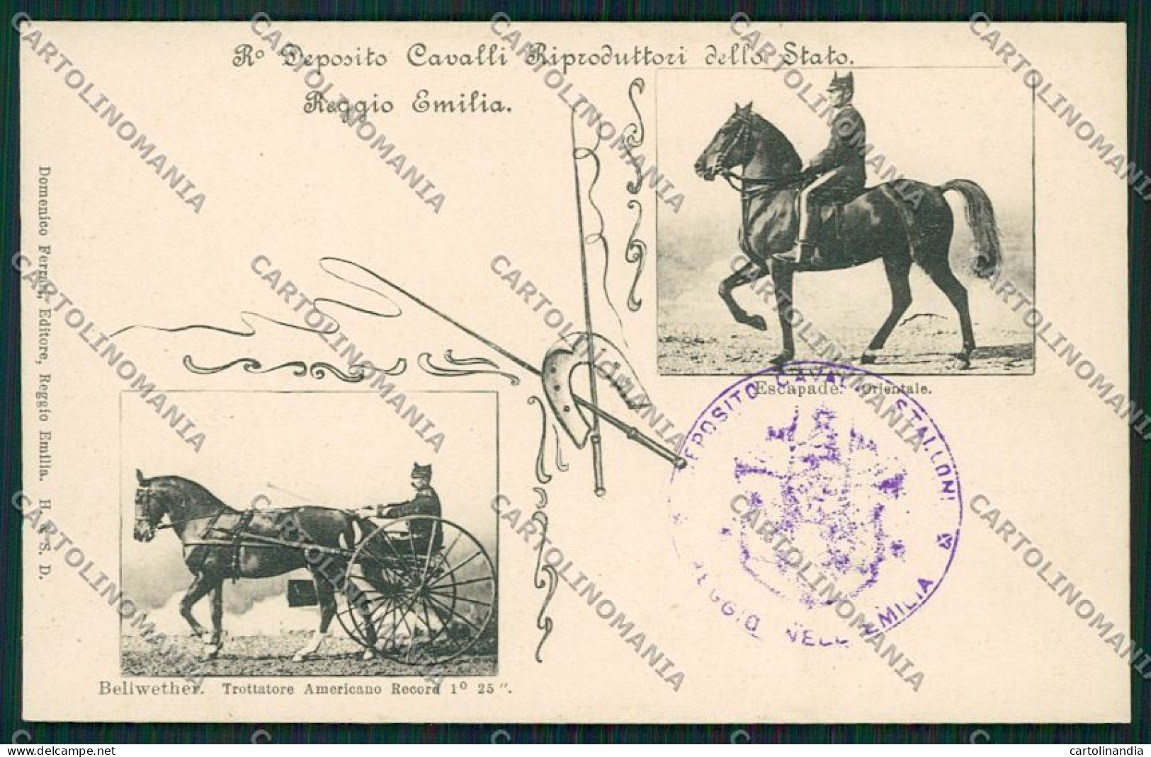 Reggio Emilia città cartolina QK0244