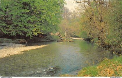 uk51576 river wye rhayader wales uk