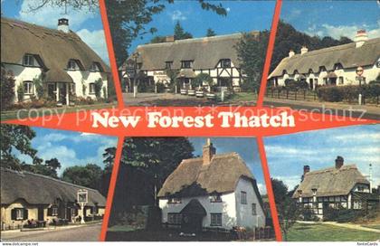 Huntingdon Huntingdonshire New Forest Thatch