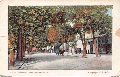B397 England Cheltenham Promenade vintage postcard