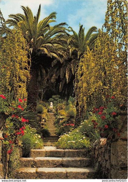 B87588 tresco gardens isles of scilly uk