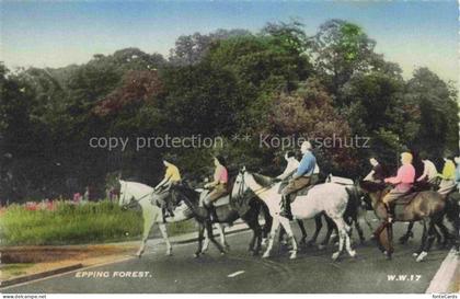 Epping Forest Essex UK Fuchsjagd