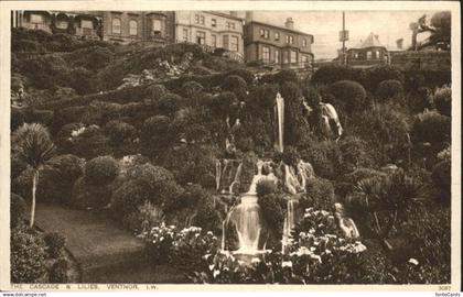 Ventnor Isle of Wight Ventnor Cascade Lilies