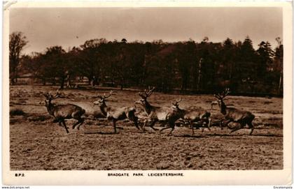 CPA Carte Postale  Royaume Uni  Leicestershire  Bradgate Park  VM109167