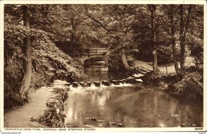 CPA Newcastle upon Tyne Jesmond Dene stepping stones