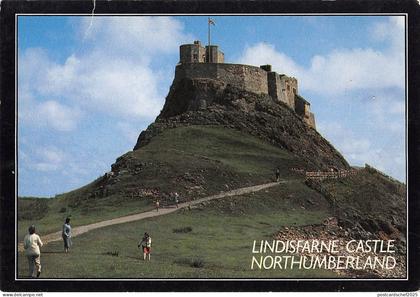 BR75550 lindisfarne castle northumberland  uk