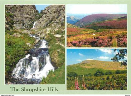 Carte Postale - Angleterre - The Shropshire Hills - Multivues - Shropshire - England - Royaume Uni - UK - United Kingdom