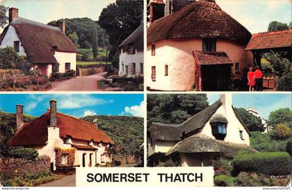 B103490 somerset thatch    uk